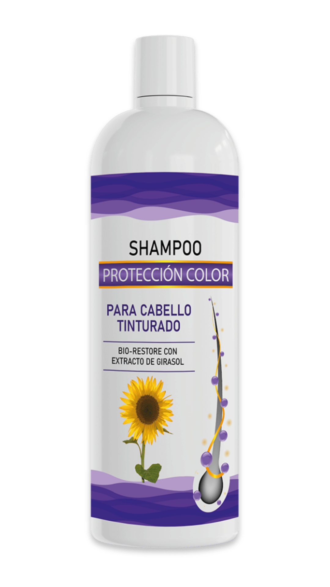 Shampoo Protección Color